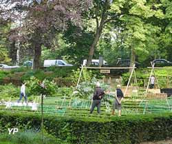 Jardin des Plantes
