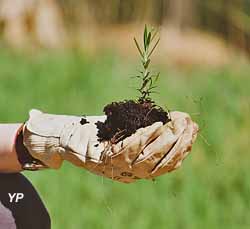 Bee factory Ballot-Flurin