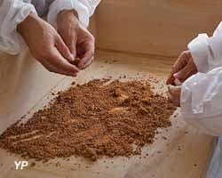 Bee factory Ballot-Flurin