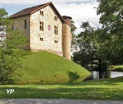 Château de Camou (Château de Camou)