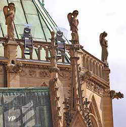 Cathédrale Saint-Etienne