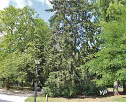 Parc municipal Japiot