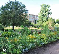Jardin Dominique Alexandre Godron (ensemble arboré remarquable)
