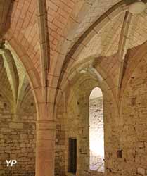 Château de Montreuil Bellay