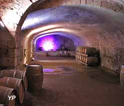 Château de Montreuil Bellay