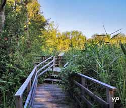 Zone humide des Prés Patouillats