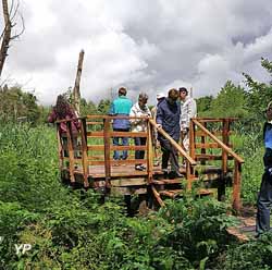 Zone humide des Prés Patouillats