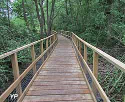 Zone humide des Prés Patouillats