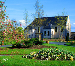 Musée des Capucins - Grotte aux coquillages