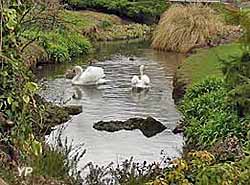 parc des Capucins de Coulommiers