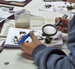 Maison de la Nature et de la Réserve - atelier nature