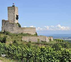 Château du Wineck (Office de Toursme de la vallée de Kaysersberg)