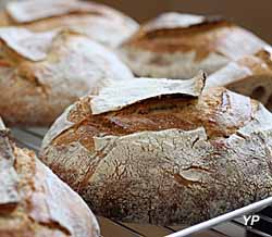 Boulangerie l'Enfariné