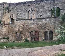 Châteaux de Bruniquel