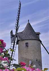 Moulins de Calon (doc. Vignobles Boidron)