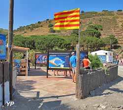 Sentier Sous Marin De La Reserve Naturelle Marine De Cerbere Banyuls Banyuls Sur Mer