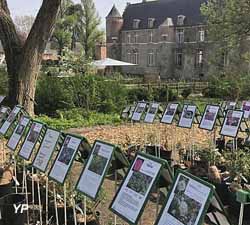 Château d'Esquelbecq - fête des jardins à la flamande 2018