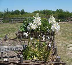 Jardin m&eacute;di&eacute;val