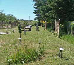 Jardin m&eacute;di&eacute;val