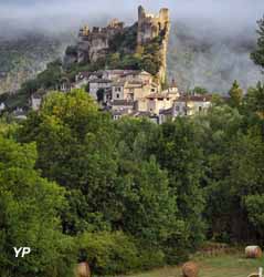 Forteresse Royale (Forteresse de Penne)