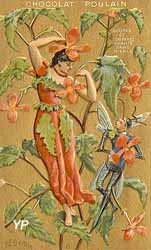 chromo - réclame pour le chocolat Poulain