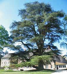Parc de la Maison pour Tous
