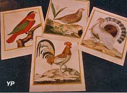 Museum d'Histoire Naturelle