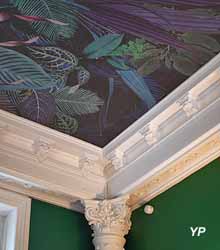 Musée d'Histoire Naturelle de Lille