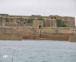Fort de l'Île Pelée