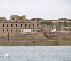 Fort de l'Île Pelée