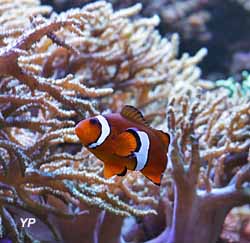 Aquarium de Lyon (doc. Aquarium de Lyon)