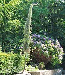 Parc du château des Ravalet