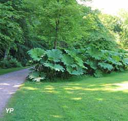 Parc du château des Ravalet