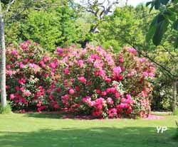 Parc du château des Ravalet