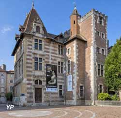 Musée des Beaux-Arts (Musée des Beaux-Arts d'Agen / Alban Gilbert)