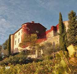 Château de Mauriac (Château de Mauriac)