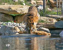Parc animalier de La Barben