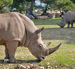 Parc animalier de La Barben