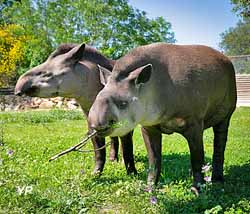 Parc animalier de La Barben