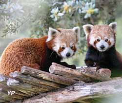 Parc animalier de La Barben