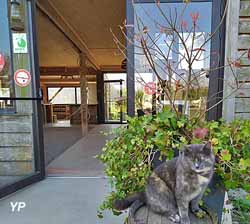 Parc animalier d'Ecouves