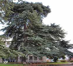 Musée Robert Dubois-Corneau