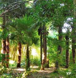 Jardin Les Bambous de Planbuisson