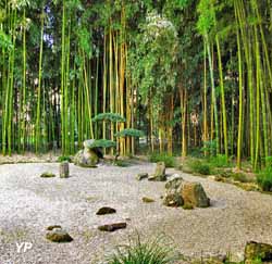 Jardin Les Bambous de Planbuisson