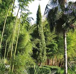Jardin Les Bambous de Planbuisson