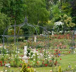 Pépinières et Roseraies Paul Croix