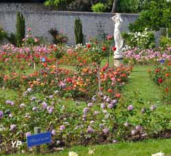 Pépinières et Roseraies Paul Croix