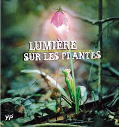 Lumière sur les plantes (doc. Pavillon du Milieu de Loire)