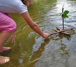 Pavillon du Milieu de Loire