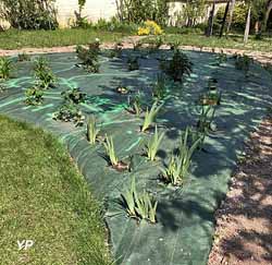 Maison Nicole Gauthier